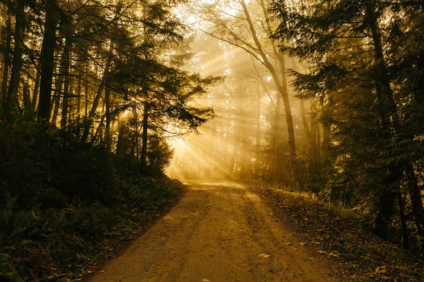 Building Mental Toughness For Long Trails